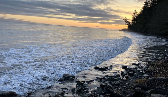 OceanFront Cottage, Beachwander for miles &/or explore the Olympic National Park
