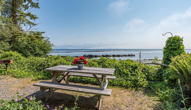 OceanFront Cottage, Beachwander for miles &/or explore the Olympic National Park