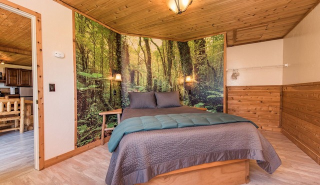 OceanFront Cottage, Beachwander for miles &/or explore the Olympic National Park