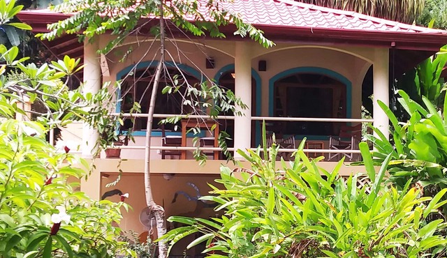 Oceanfront rentals at Beach House Incognito