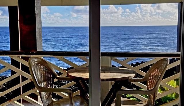 Oceanfront studio see whales and dolphins