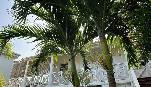 Oceanfront Studio w/Amazing Views and Private Beach Access.