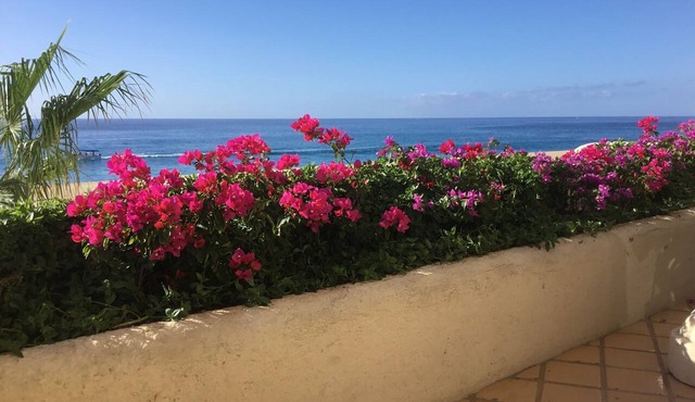 Oceanfront view of Terrasol Resort, Cabo San Lucas, Mexico