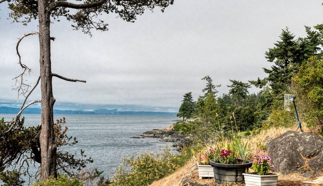 Oceanfront West Coast Vacation Home-Surfside Cottage with hot tub