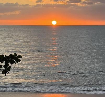 Oceanview Coastal Retreat - 2BR Getaway