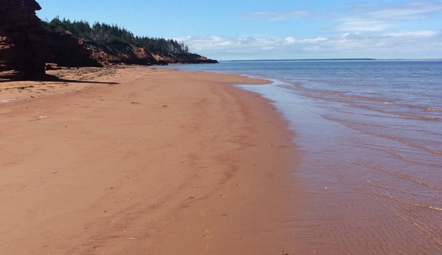 Oceanview Cottage -Beach - Peaceful, Amazing Views