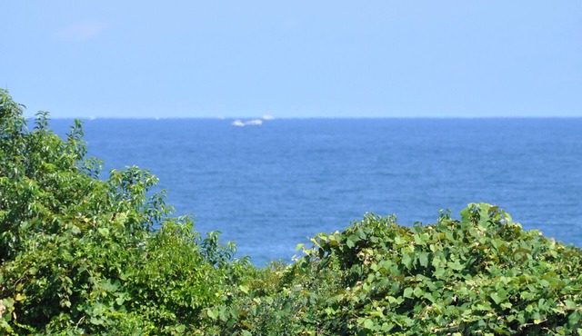 Oceanview Studio 6, Twin Pond walk to Town/Beach Pass