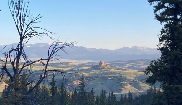 Off-Grid Forest Getaway w/WiFi on 4 Acres