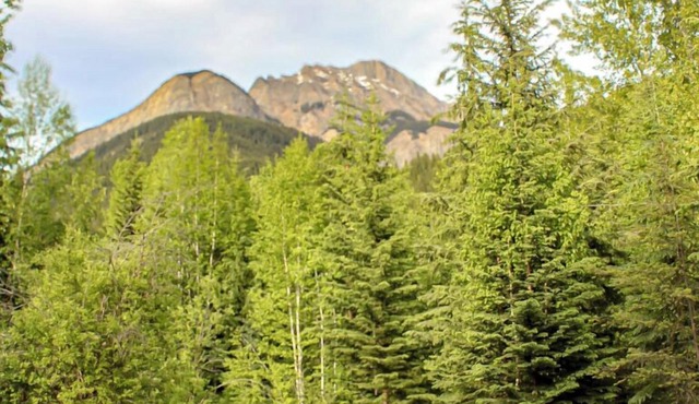 Off-Grid Green Yurt