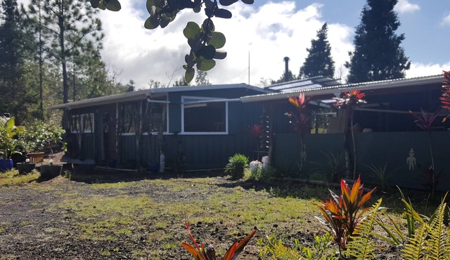 Off grid house with almost 100 fruit and veg plants, close to green sand beaches