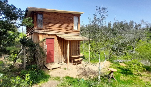 Off-grid, romantic wooden cabin with library and cottage gardens