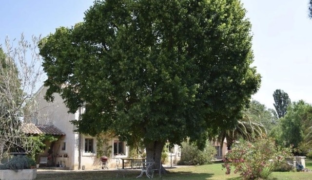 Old French Farmhouse, Pool, 10 minutes from Arles