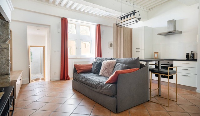 Old Lyon Town refurnished 1 BDR St-Georges area