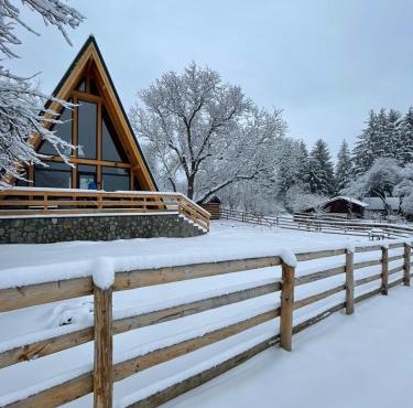 Old Nut Cabin