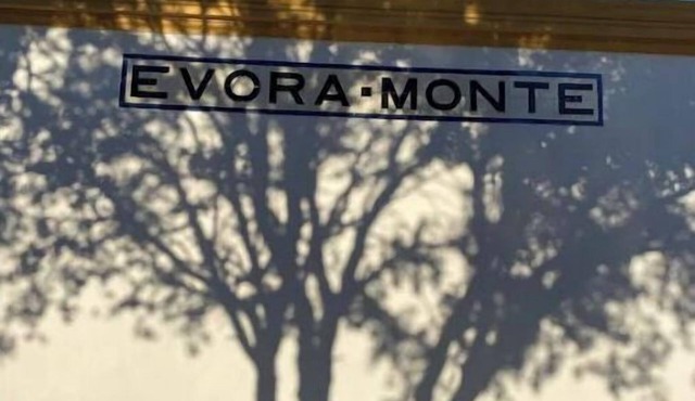 Old Railway Station in Evoramont - House #4