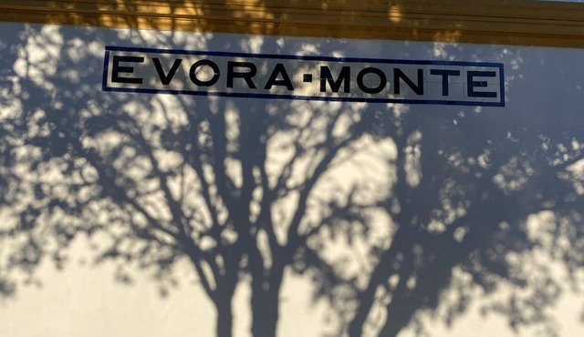 Old Railway Station in Evoramonte - House #1