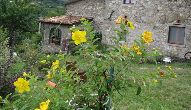 Old restored stone barn, with private pool and valley views
