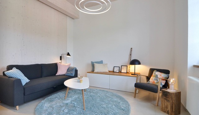 Old school with a modern apartment - The reading room