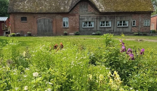Old thatched coach house for up to 5 people.