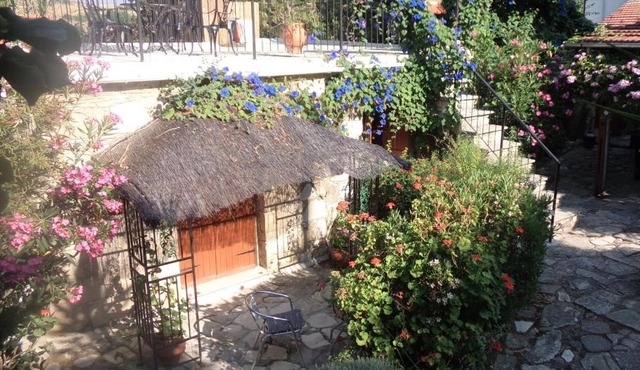 Oleander Stone House