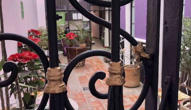 Olga Querida Hostal - Hostel