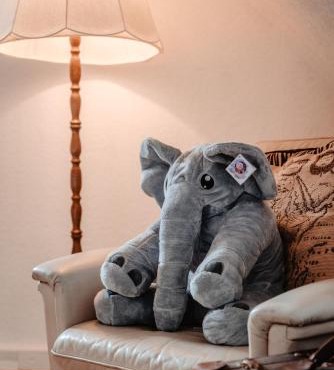 Olifant in Osterode