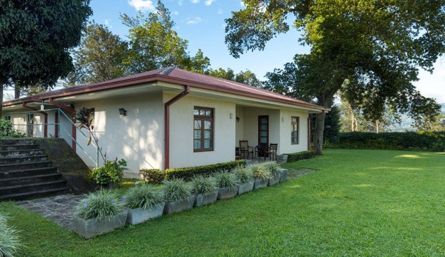 Olive Bungalow