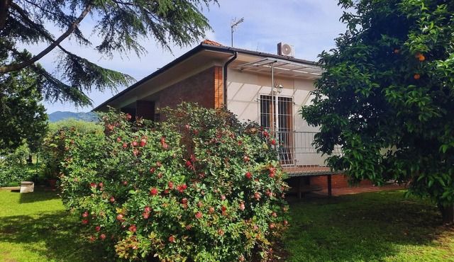 Olive Grove Garden House With Mountain View Close to Forte dei Marmi