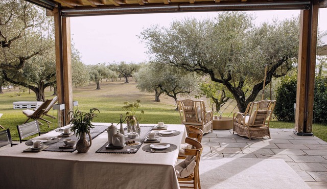 Olive Grove House