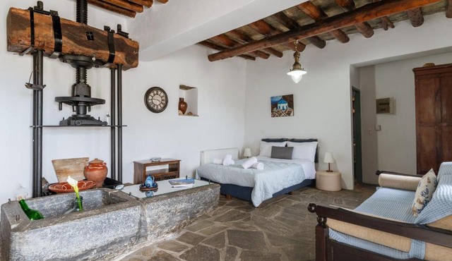 Olive Guesthouse near farm