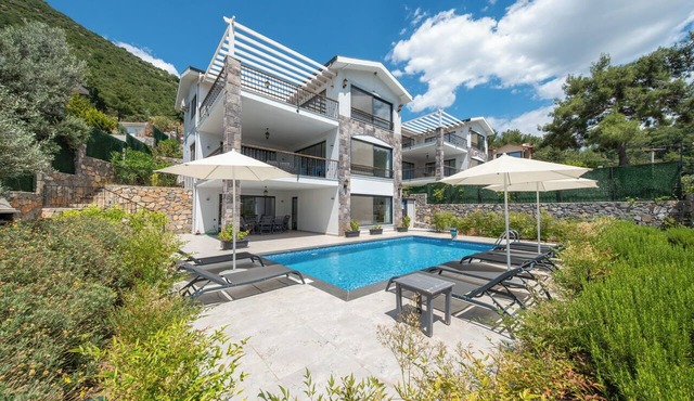 Olive Hills Villa Family-Friendly Luxury Villa with Private Pool in Fethiye