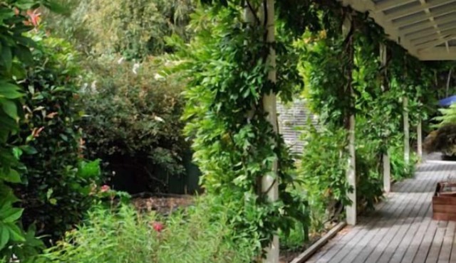 Olive Rabbit - Boutique Bed & Breakfast