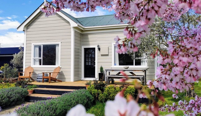 Olive Tree Cottage, Martinborough