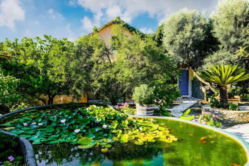 Olive tree Cottages