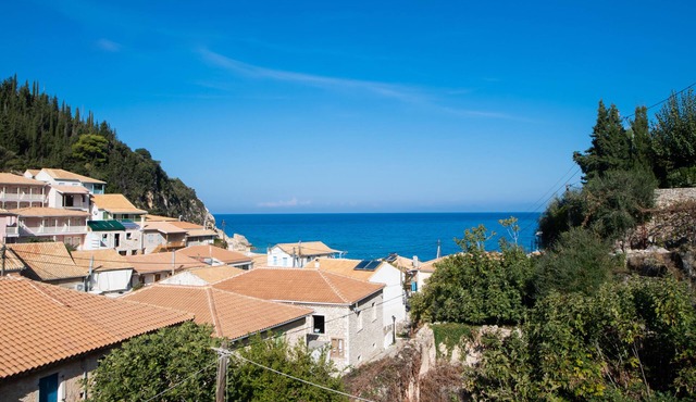 Olive Tree Hotel