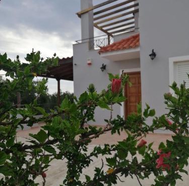 Olive Tree House I