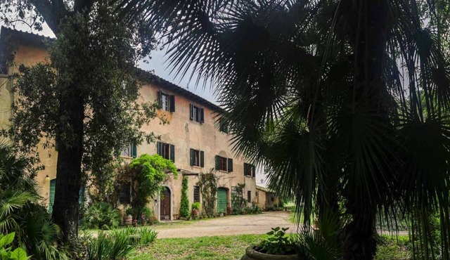Olive Tree Suite Apartment
