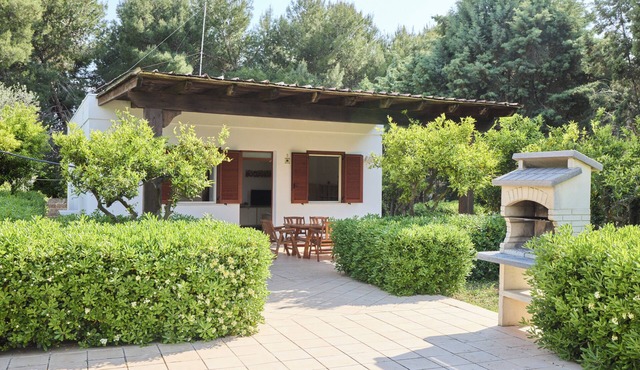 Olive Tree Villa