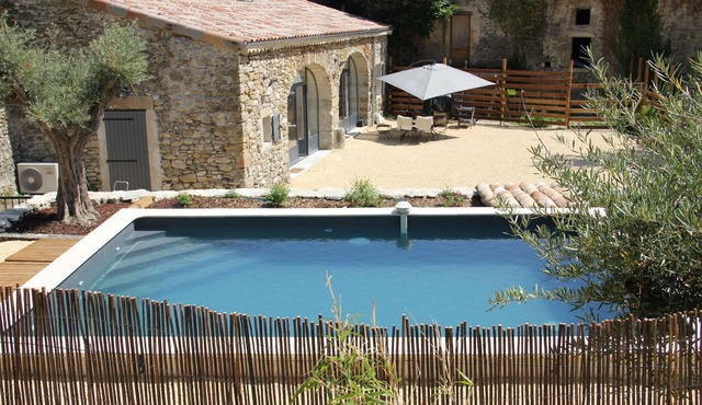 Olive trees