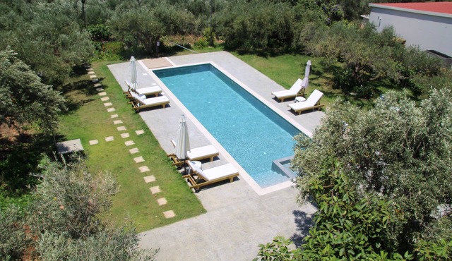 olive view