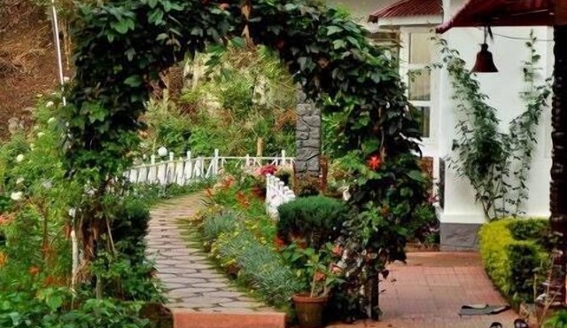 OliveBrook