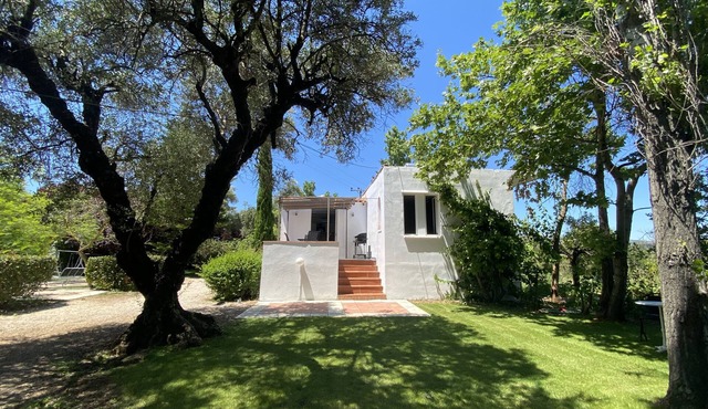 Olivetree is set in our beautiful landscaped gardens close to the pool