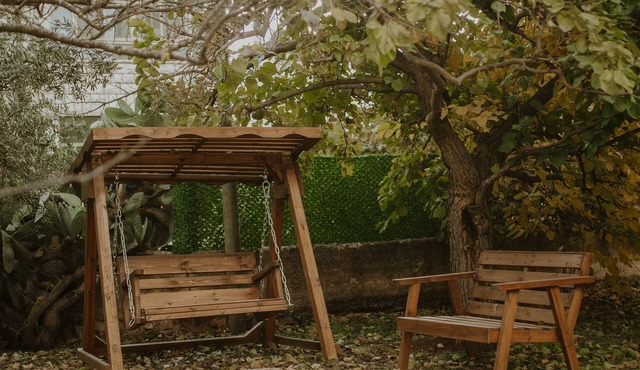 OliveTreeHostel
