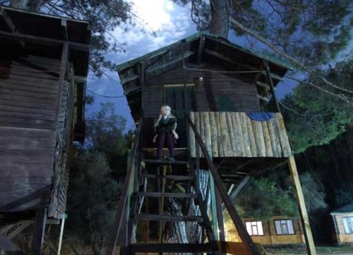 Olympos Woods