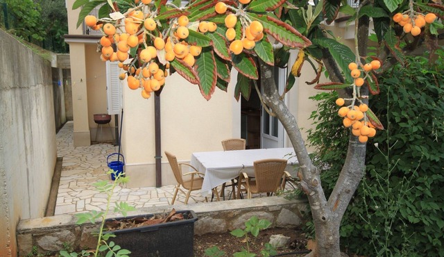 One bedroom apartment with terrace Nerezine, Lošinj (A-2518-c)