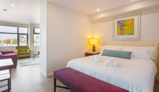 One Bedroom Apartment with San Diego Downtown View