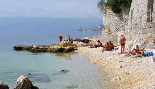 One bedroom apartment with balcony Rijeka (A-15333-a)