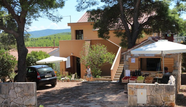 One bedroom apartment with terrace and sea view Basina, Hvar (A-12420-c)