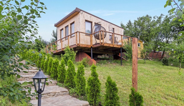 One-Bedroom Studio Cabin in Dealu Mare