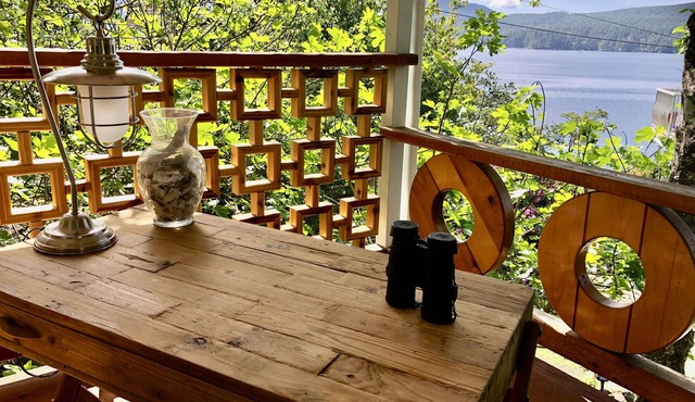 One of a kind private ocean front, beach, cave, 1 bedroom private cottage gem.